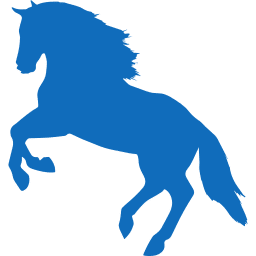 Jumping Horse Icon